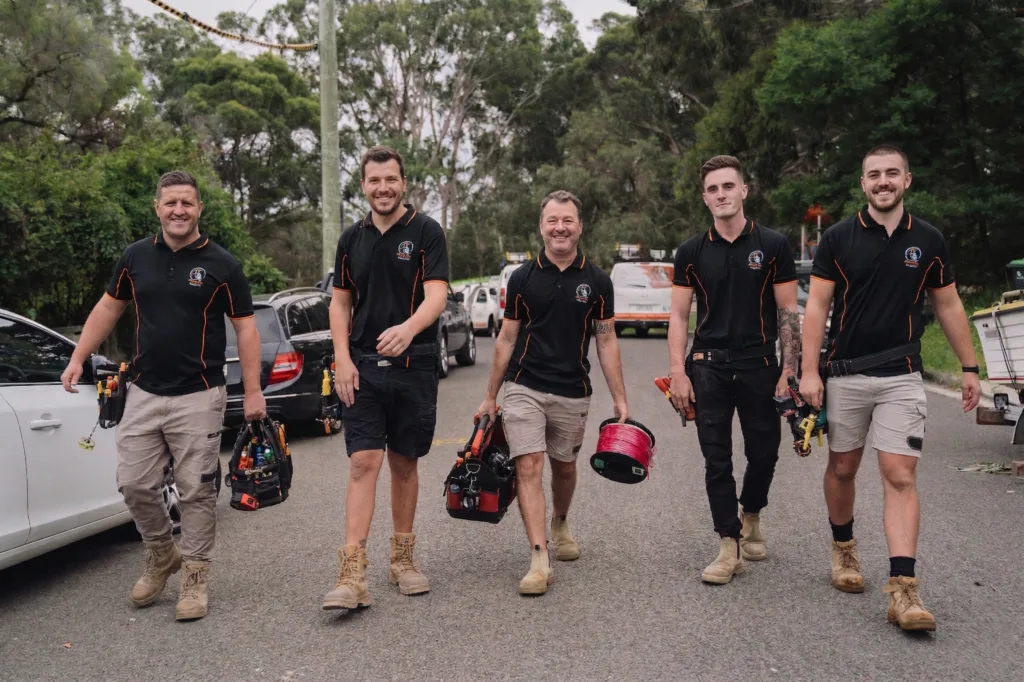 Professional electrical services in Frenchs Forest